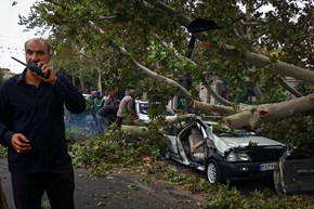 سقوط درخت در اثر طوفان در تهران