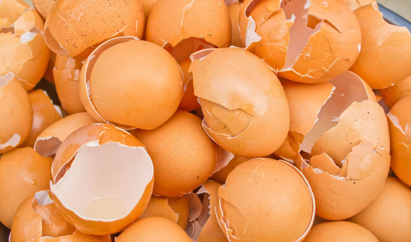 پوست تخم‌مرغ را به این ۸ دلیل دور نریزید