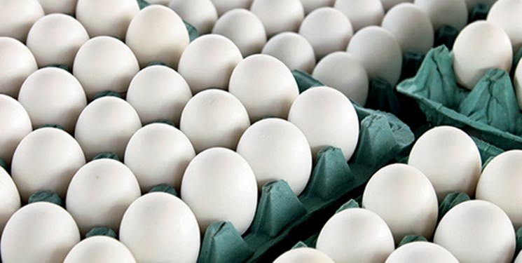 صادرات تخم‌مرغ ممنوع شد+سند