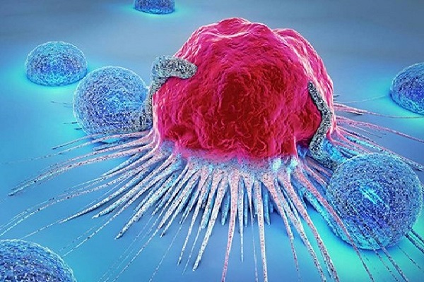 ویروس اچ‌پی‌وی منجر به سرطان پروستات می‌شود