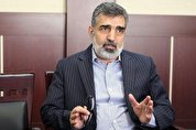 مسئله هسته ای از دو مسیر سیاسی و فنی حل می شود
