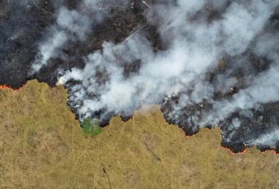 آتش سوزی جنگل‌های آمازون در برزیل