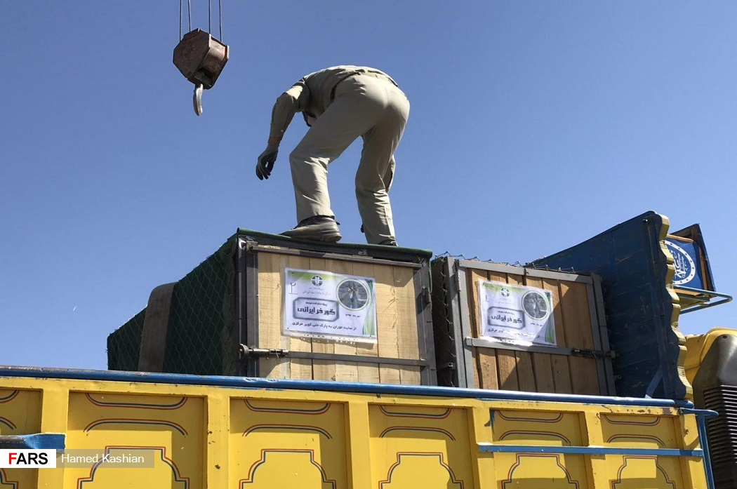 انتقال گورخرها بدون اطلاع دامپزشکی
