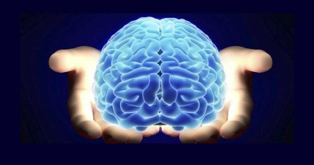 تاثیر خوش‌بینی و بدبینی روی شدت سکته مغزی