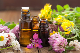 معرفی برخی گیاهان دارویی برای درمان دیابت نوع ۲