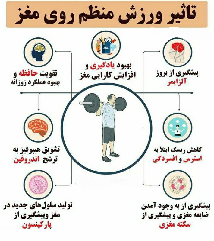 ورزش در هر سن و سالی برای مغز بسیار مفید است