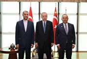 امیرعبداللهیان با اردوغان دیدار و گفتگو کرد