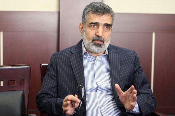 مسئله هسته ای از دو مسیر سیاسی و فنی حل می شود